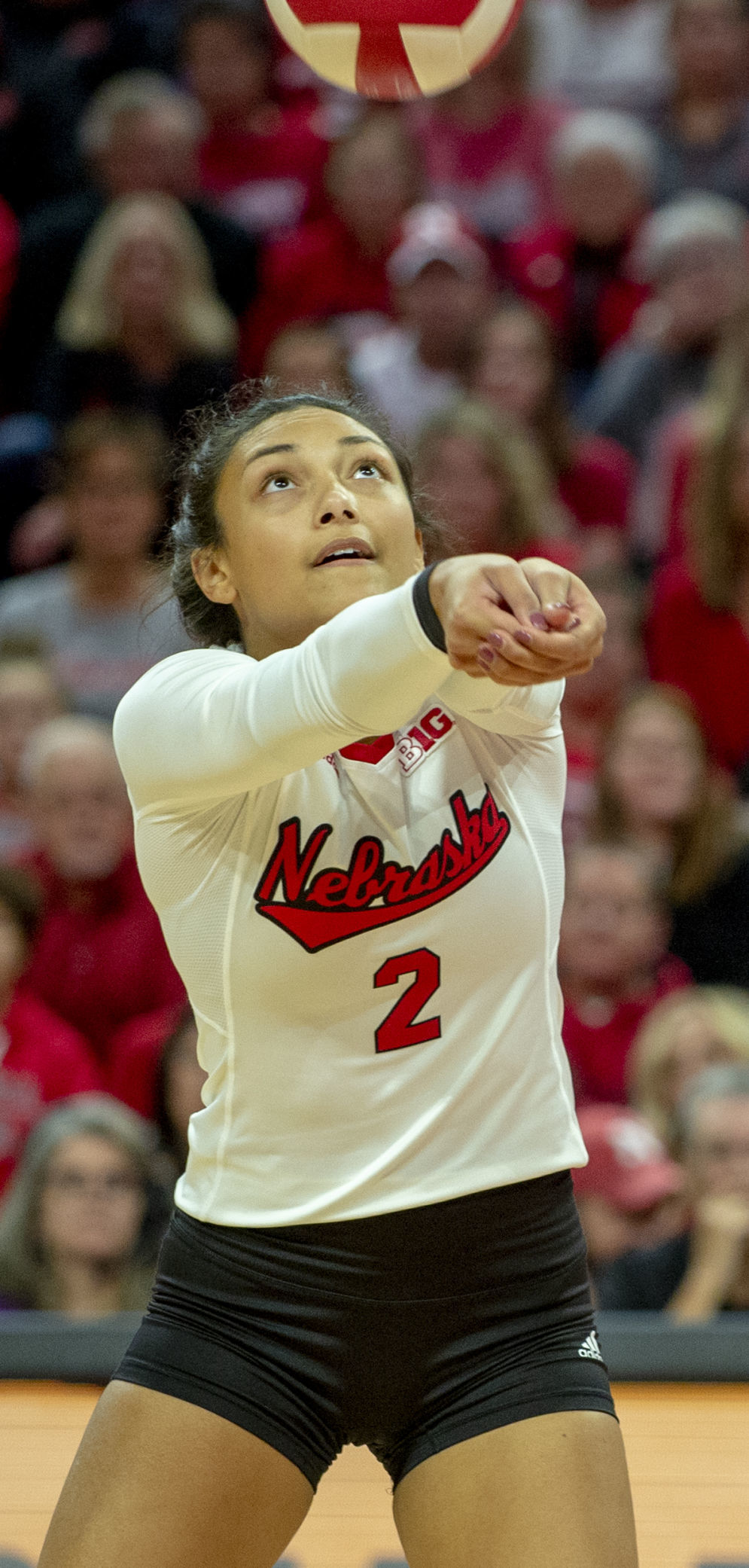 NU volleyball, 11.1